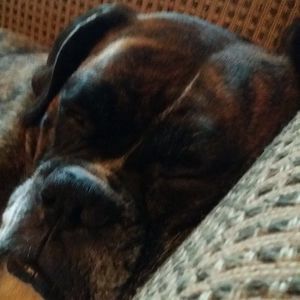 Meet your Posher, Joann